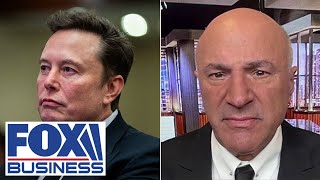 This is the power Elon Musk has O’Leary loves ‘very contentious’ plan to cut spending [upl. by Norred]