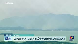 Bombeiros atendem ocorrência de incêndio em mata de Palhoça [upl. by Treulich]