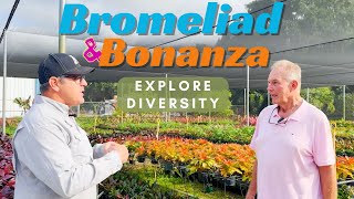 Bromeliad Bonanza Exploring Diversity Growth Stages and Ground Cover Varieties [upl. by Socrates]