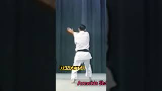 Asai Tetsuhiko Hangetsu karate martialarts Kata [upl. by Gawain860]