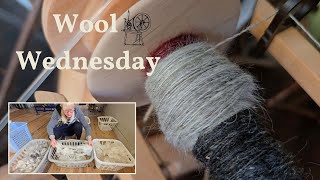 Wool amp Mohair Wednesday Hand blending mohair and wool and carding [upl. by Darnall41]