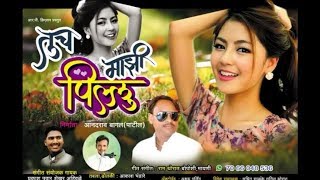 Tuch mazi pillu janu tuch mazi pillu New Song 2018 [upl. by Enier]