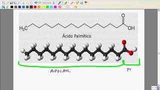 Bio1ºbachillerato Tema 1 Lípidos 1 [upl. by Nnyrb]