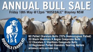 Rosedale Charolais Bull Sale Preview 2018 [upl. by Tavi]