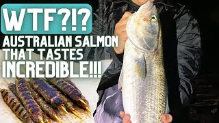 Fishing For AUSTRALIAN SALMON Catch And Cook [upl. by Nilek]