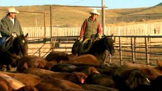 2012 Beef Quality Assurance Award Winner  Wayne Fahsholtz Padlock Ranch [upl. by Micco]