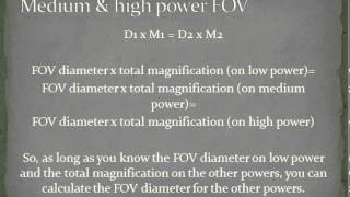 Calculating image and object sizes on a microscopemp4 [upl. by Ragse]