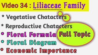 Liliaceae Family  Lily Family  Floral Formula Floral Diagram  Vegetative amp Floral Characters [upl. by Aholah796]