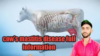 Cows from mastitis disease full information [upl. by Heyman]