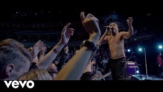 Iggy Pop  Gardenia Live At The Royal Albert Hall [upl. by Litch]