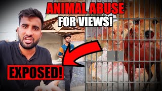 Shehr Main Dihat Exposed💢  Using Poor Animals For Views  Breaking Silence [upl. by Alleen]