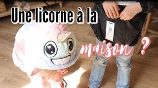 ❥ UNE LICORNE DANS LA MAISON VLOG FAMILLE 752  ♥ [upl. by Yeltnarb529]