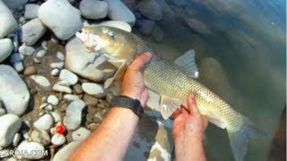 Pesca de barbos con lombriz y corcho en rio [upl. by Hube682]