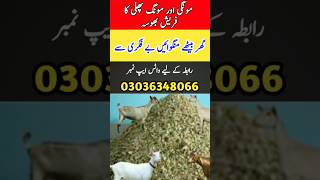 Dry Food For Goats in Winter  Goat Feed Formula in Pakistan  Bakri ki Khurak [upl. by Aliel]