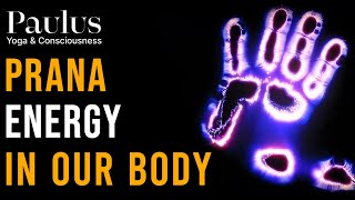 PRANA ENERGY IN OUR BODY [upl. by Etra452]