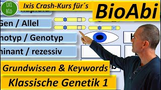 klassische Genetik 1a Grundwissen und Keywords [upl. by Auqinahs40]