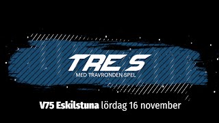 Speltips V75 Eskilstuna 16 november [upl. by Willy902]