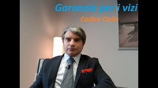 La garanzia per vizi nel Codice Civile [upl. by Nosila]