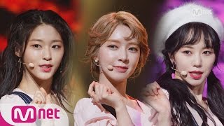 AOA  Excuse me Special Stage  M COUNTDOWN 170119 EP507 [upl. by Huntington]