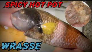 Wrasse Fish Taste Unbelievable [upl. by Imoian788]