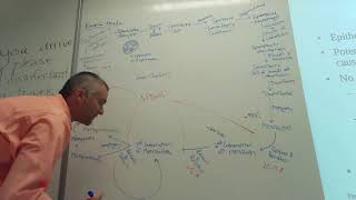 Gregarina cuneata Coccidian introduction and Eimeria tenella life cycle [upl. by Akiv]