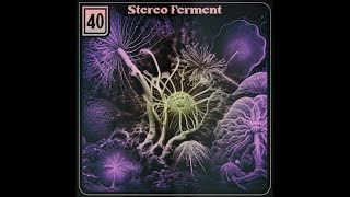 Stereo Ferment 40 edits tropical boogie balearic [upl. by Jeaz]