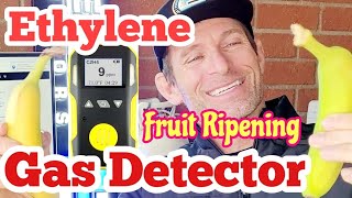 Ethylene Gas Detector for Fruit Produce Ripening [upl. by Natalia777]