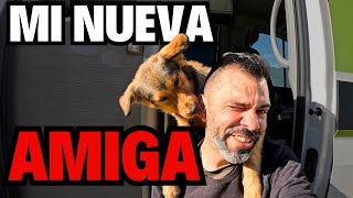 ¡Adopté un perro y estamos viajando en una furgoneta 301 [upl. by Priebe]