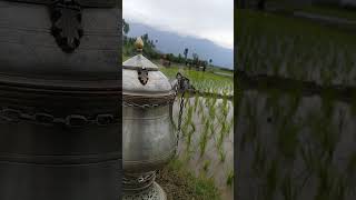 Kashmiri samovar teapot viral shorts [upl. by Hgierb]