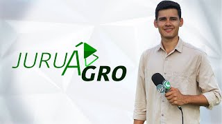 JURUÁ AGRO  AO VIVO 28042024 [upl. by Rusell]