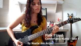 Pink Floyd  Comfortably Numb Solos Cover by Noelle dos Anjos [upl. by Ellicec182]