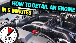 Clean amp Detail Your Car Engine in 5 Minutes [upl. by Sik]