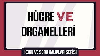 Hücre ve Organelleri Konu ve Soru Kalıpları Serisi [upl. by Esinahs]