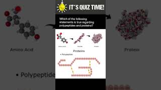 Polypeptides vs Proteins [upl. by Liddy639]