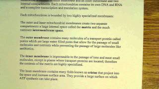 Mitochondria and oxidative phosphorylation [upl. by Artkele943]