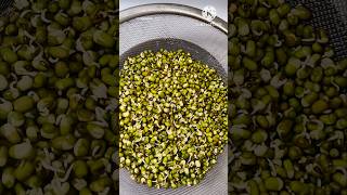 How to make mung dal sprouts at Homeshortsshortvideoyoutubeshorts [upl. by Aihsemot]