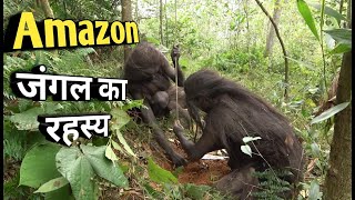 Facts about amazon jungle in HindiUrdu  Forest People  Tribe  Amazon mystery  Amazon rainforest [upl. by Nitsir66]