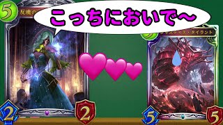 【アンリミ】カラミティNTR計画【シャドバシャドウバースShadowverse】 [upl. by Ailimat580]