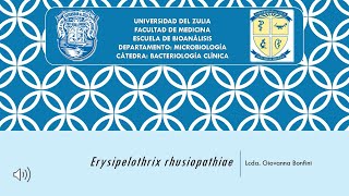 Tema 4 Erysipelothrix rhusiopathiae [upl. by Enileme774]