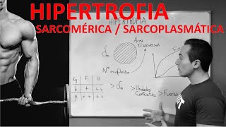 GANAR MASA MUSCULAR ¿SARCOPLASMÁTICA O SARCOMÉRICA [upl. by Asiral]