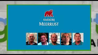 85 WB24 GIW kwekerij Meerrust Barendse [upl. by Marinna]