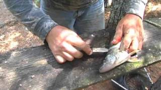 How to fillet a Walleye [upl. by Haslett617]