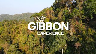 The Gibbon Experience in Laos  Wereldreizigersnl [upl. by Singer]