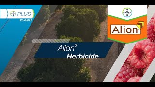 Alion® Herbicide [upl. by Omolhs]