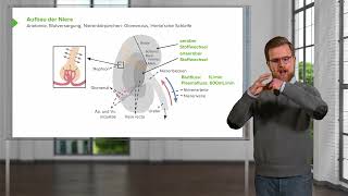 Nierenfunktion und Wasser amp Elektrolythaushalt Aufbau und Funktion der Niere [upl. by Therron]