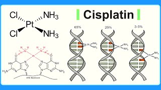 cisplatin [upl. by Dalia]