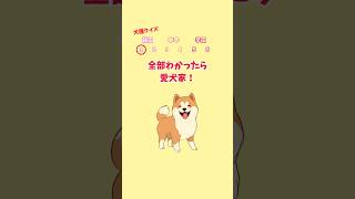 この犬の犬種は何でしょう？ 犬種 クイズ 暇つぶし [upl. by Burnside]