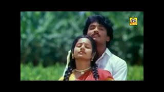 நான் ஏரிக்கரை மேலிருந்து  Naan Erikarai Melirunthu Video Song HD  Chinna Thayi Movie  Ilayarajaa [upl. by Quintana]