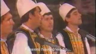 Flaka Mbuloi Fshane Albanian folk music with English subtitles [upl. by Macnair240]