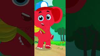 Ek Mota Hathi Gumne Chala ଏକ ମୋଟା ହାଥୀ  shorts kidssongs elephantsshorts shortsvideo [upl. by Brigit]